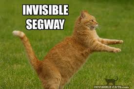 Image result for invisible cat