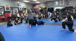 Image result for America's Best Karate