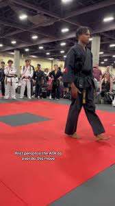 Image result for ATA Martial Arts Maple Ridge