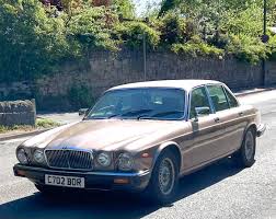 Image result for Silver Sand 1983 Jaguar