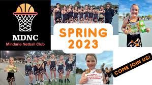 Image result for Dominos Netball Club