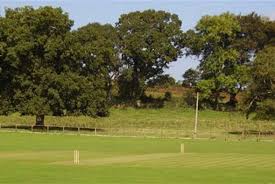 Image result for Whitchurch Cricket Club