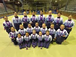 Image result for Tamworth Olympic Gymnastics Club