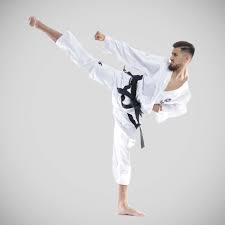 Image result for Bytomic Taekwondo