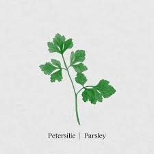 Image result for Petersilie