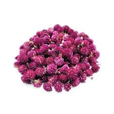 Image result for Kugelamarant