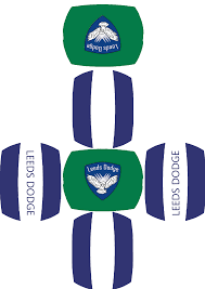 Image result for Leeds Dodge