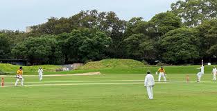 Image result for Old Paulines Cricket Club