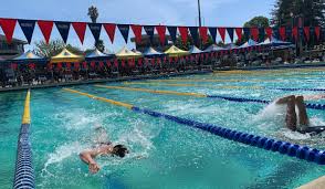 Image result for Portway Swimming Club