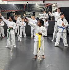 Image result for Okami Karate & Fitness Schools