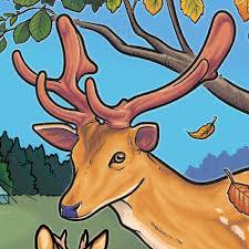 Image result for Ashurst WI*