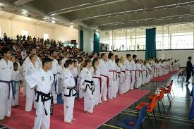 Image result for London Colney Tae Kwon Do  (I.T.F. / LTSI / A.F.T.)