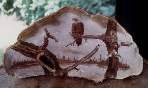 Attēlu rezultāti vaicājumam “Ganoderma applanatum”