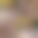 Image result for Emma Watson topless