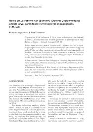 Attēlu rezultāti vaicājumam “Lasioptera rubi larva”