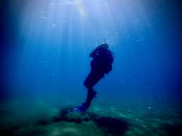 Image result for Dive Crew Scuba Diving