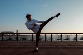 「宇練銀閣」の画像検索結果