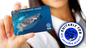 Image result for The London No 1 Diving Club