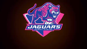 Image result for Ecs Predators Netball Club