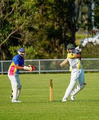 Image result for Werrington Cricket Club