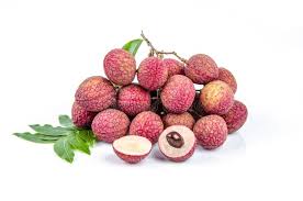 Image result for Litchi chinensis