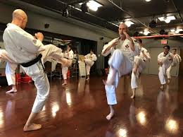 Image result for Imperial College Shorinji Kempo Society