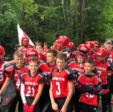 Image result for Hedingham Hawks Youth Football Club