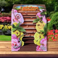 Image result for ladybug house