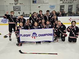 Image result for City Of Ely Roller Hockey Club