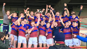 Image result for University Of Limerick Gaa Hurling Club