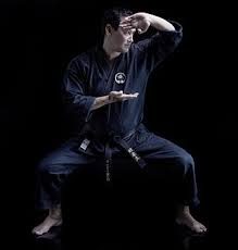 Image result for Goju.co.uk