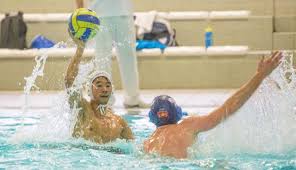Image result for West London Penquin Swimming & Water Polo Club