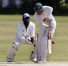 Image result for Alberbury Cricket Club