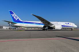 Image result for ana