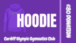 Image result for Cardiff Olympic Gymnastics Club