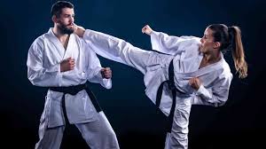Image result for Kyokushin Karate