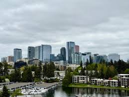 Image result for Bellevue