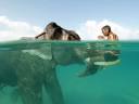 Ocean-Loving Elephant Redefines "Swim Trunks" : TreeHugger