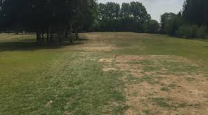 Image result for Gosforth Golf Club Ltd