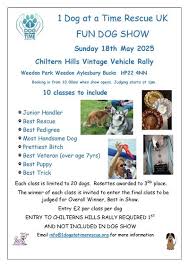 Image result for Chiltern Flyers