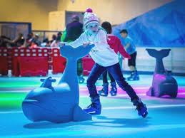 Image result for Milton Keynes Ice Skating Club