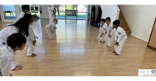 Image result for Aylesbury Vale Seido Karate
