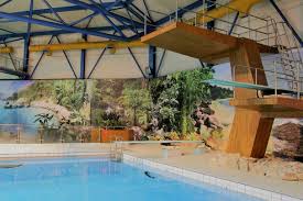 Image result for Borough Of Barnsley Swimming Club