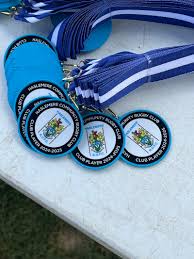 Image result for Haslemere Community Rugby Club