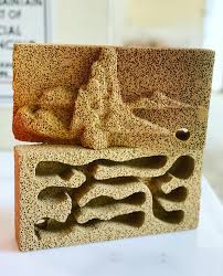 Image result for ytong ants