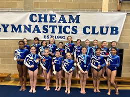 Image result for Zodiac Gymnastics Club
