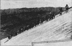 Image result for St Helens Miners