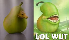 Image result for lol wut