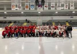 Image result for Havering Skater Hockey Club