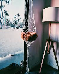 Image result for rupaljanuj